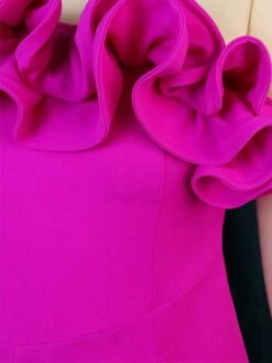 Women's Jumpsuit Ruffle High Waist Solid Color One Shoulder Elegant Xmas Wedding Party Christmas Regular Fit Long Sleeve Fuchsia S M L Fall 22 Women's Jumpsuit Ruffle High Waist Solid Color One Shoulder Elegant Xmas Wedding Party Christmas Regular Fit Long Sleeve Fuchsia S M L Fall -Cheap Women Clothing Store sempox1693906391609